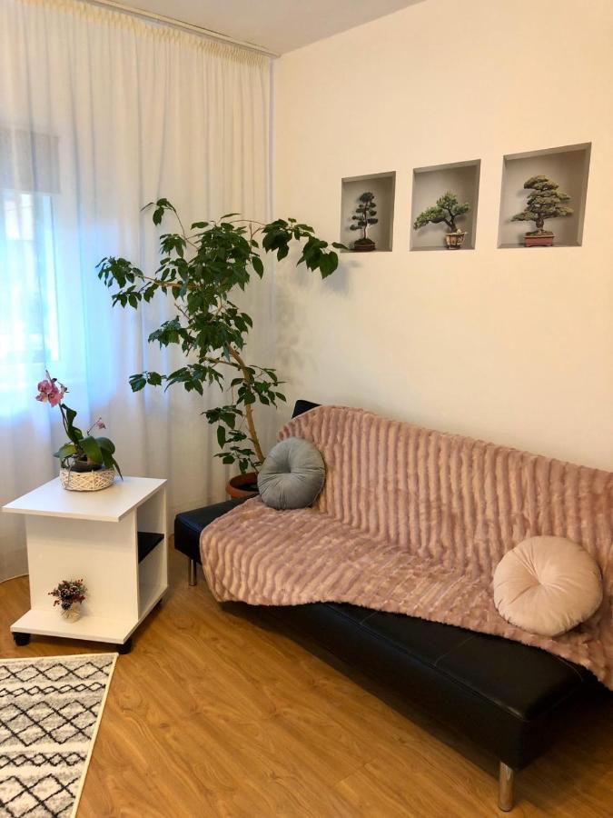 Appartement Mia'S House à Piteşti Extérieur photo